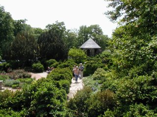 Girl's Day Out - National Cathedral