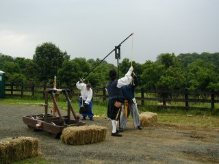 Stierbach Baronial Birthday