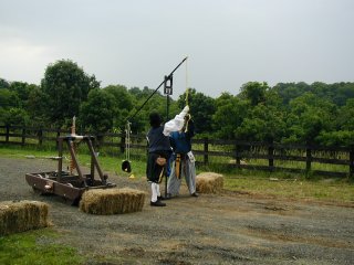 Stierbach Baronial Birthday